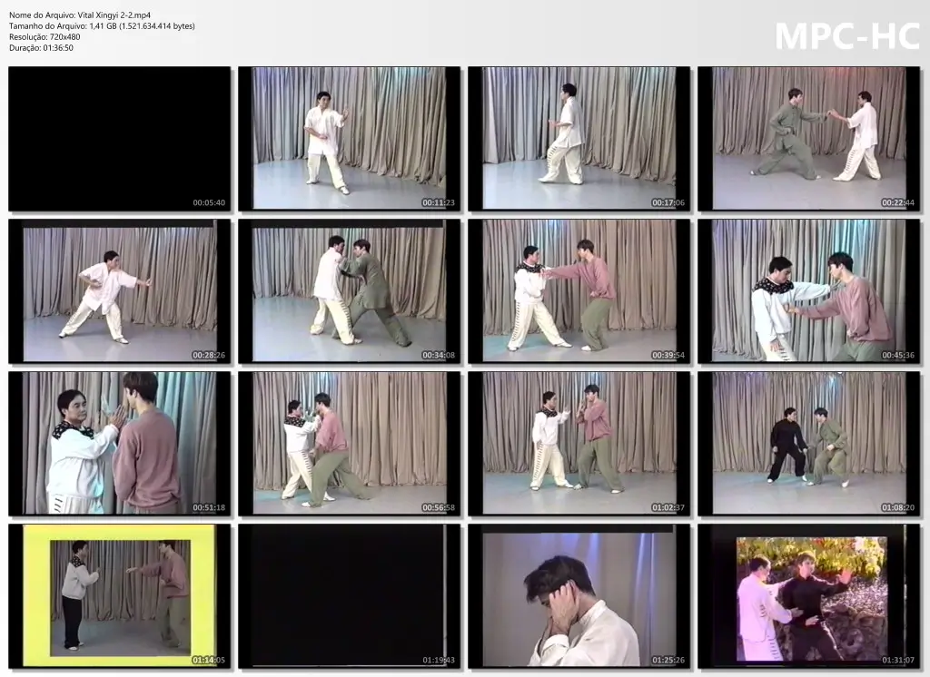 Vital Xingyi 2 2.mp4 thumbs