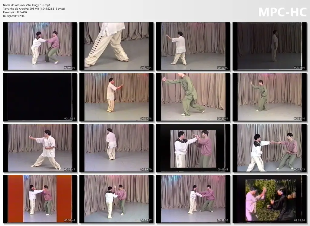 Vital Xingyiquan Vol