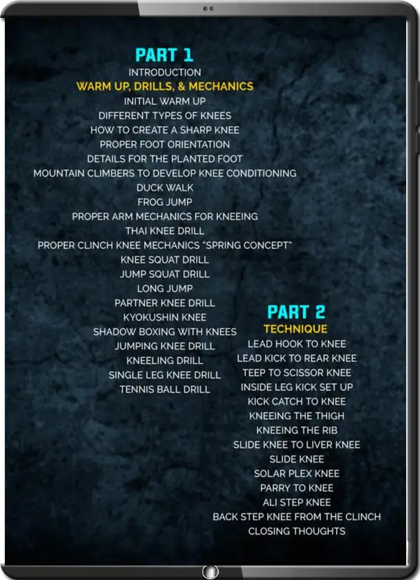 ARTEM LEVIN – THE KNEE STRIKE ENCYCLOPEDIA COVER