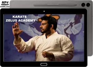 CLEMENT SERQUEIRA KARATE ZELUS ACADEMY LEARN KARATE IN 43 EPISÓDIOS