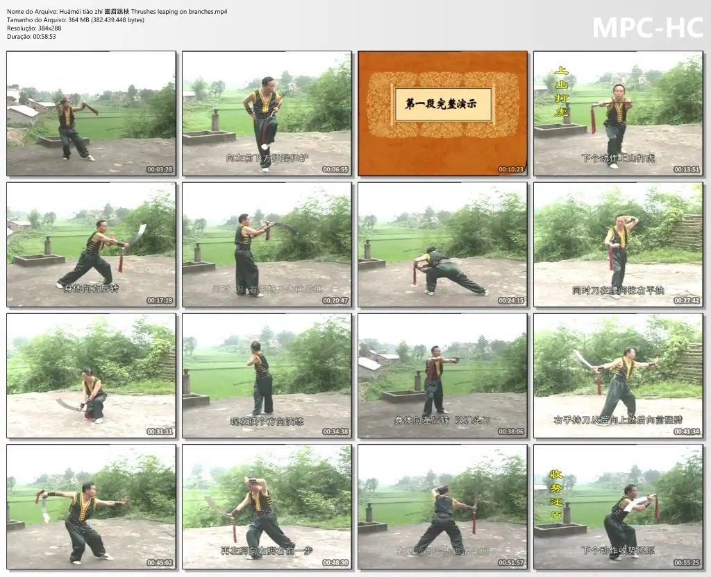 Huàméi tiào zhī 画眉跳枝 Thrushes leaping on branches.mp4 thumbs