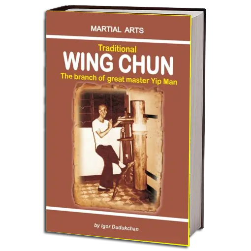 IGOR DUDUKCHAN TRADITIONAL WING CHUN PDF