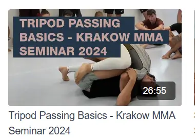 Krakow Mma Seminar