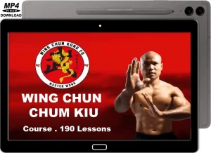 MASTER MICHAEL WONG COURSE WING CHUN CHUN KIU