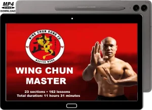 MASTER MICHAEL WONG COURSE WING CHUN MASTER