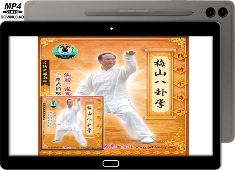 MEISHAN QUAN BAGUAZHANG VOL.03 Méishān Bāguàzhǎng 梅山八卦掌