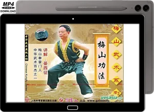 MEISHAN QUAN BASICS & CONDITIONING VOL.15