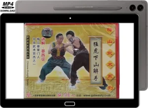 MEISHAN QUAN DESCENDING TIGER EXPLAINED VOL.12