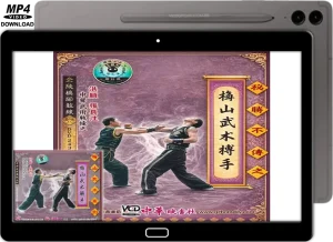 MEISHAN QUAN TECHNIQUES EXPLAINED VOL.13