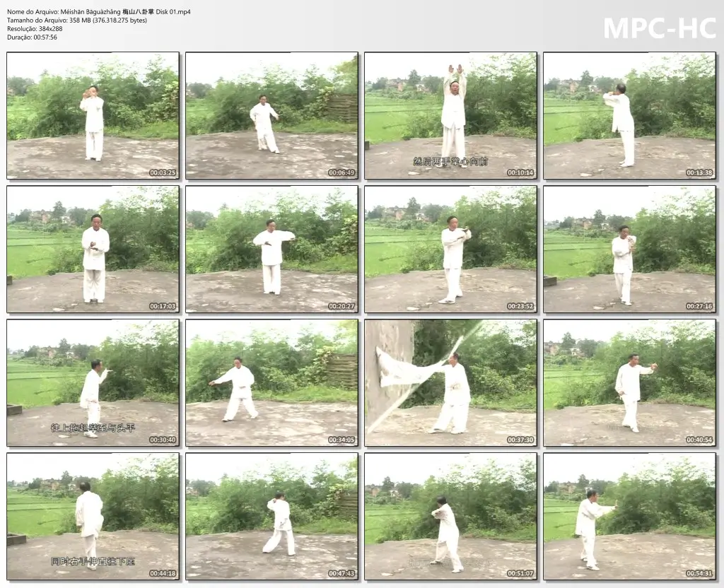 Méishān Bāguàzhǎng 梅山八卦掌 Disk 01.mp4 thumbs