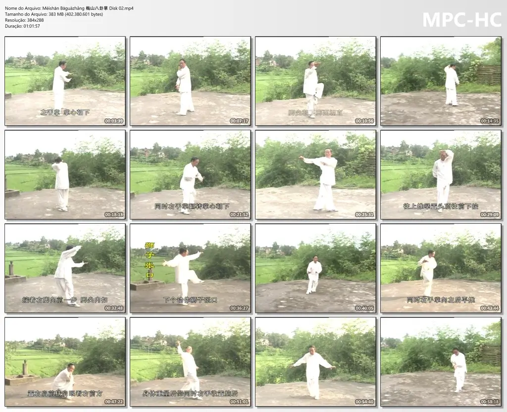 Méishān Bāguàzhǎng 梅山八卦掌 Disk 02.mp4 thumbs