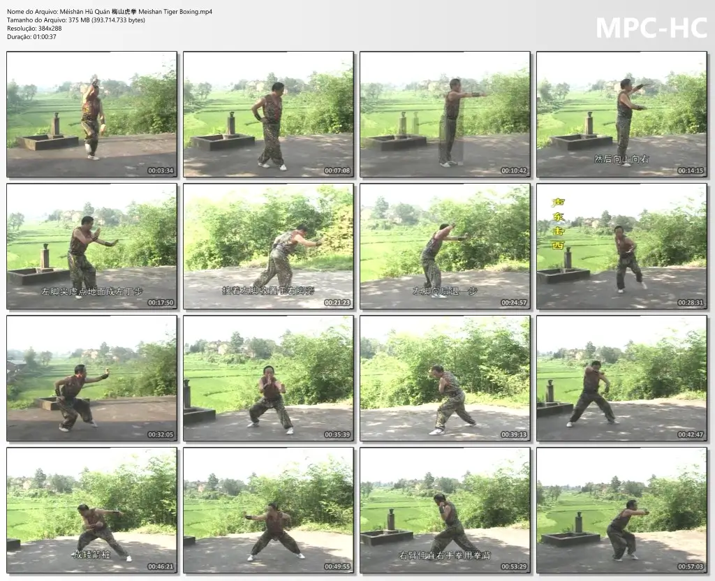 Méishān Hǔ Quán 梅山虎拳 Meishan Tiger Boxing.mp4 thumbs