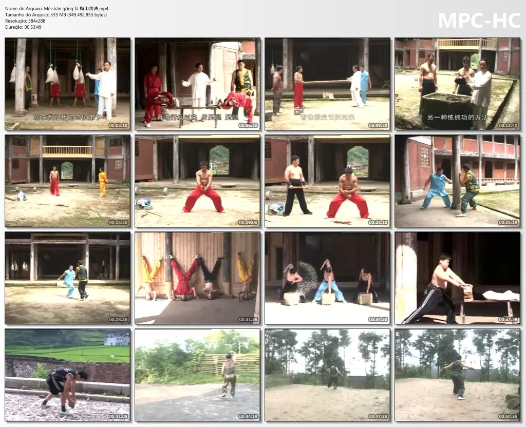 Méishān gōng fǎ 梅山功法.mp4 thumbs