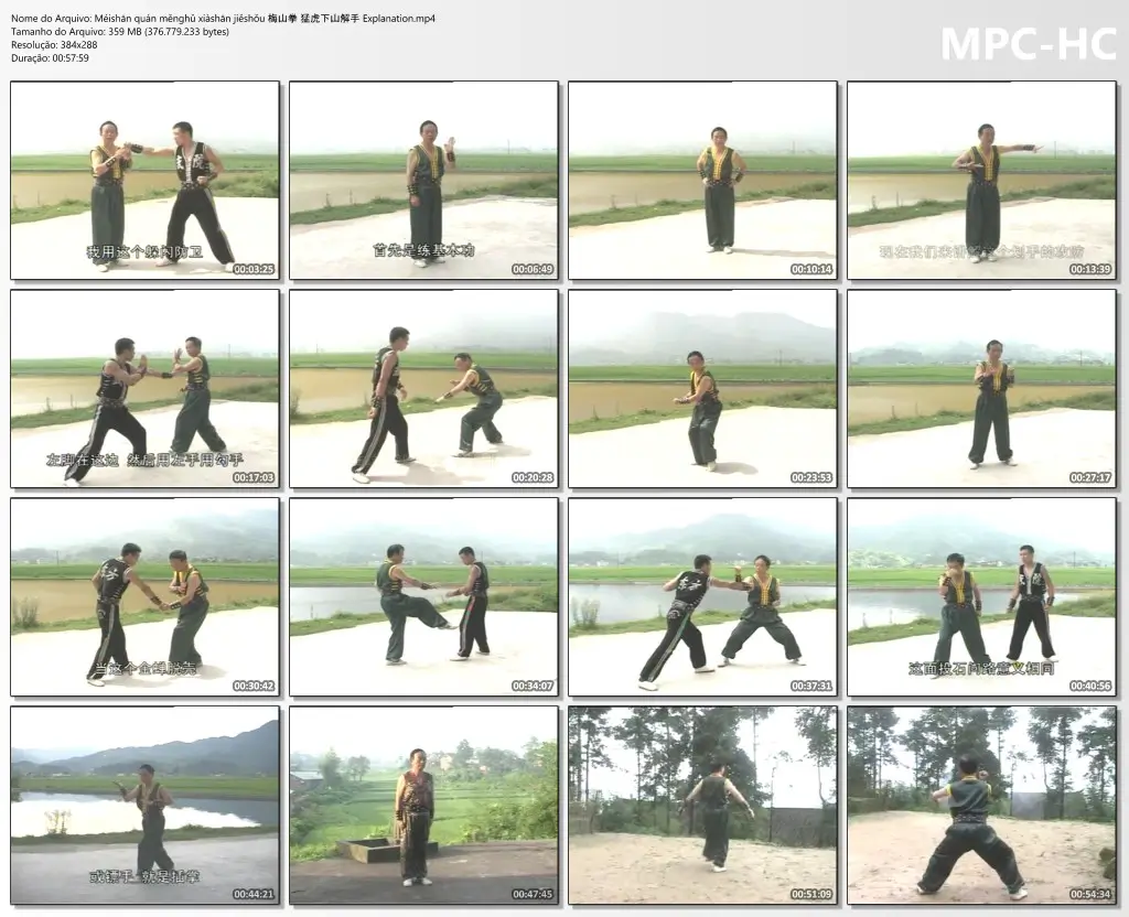 Méishān quán měnghǔ xiàshān jiěshǒu 梅山拳 猛虎下山解手 Explanation.mp4 thumbs