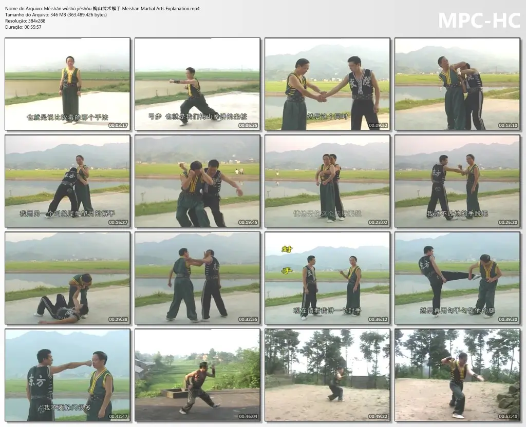 Méishān wǔshù jiěshǒu 梅山武术解手 Meishan Martial Arts Explanation.mp4 thumbs