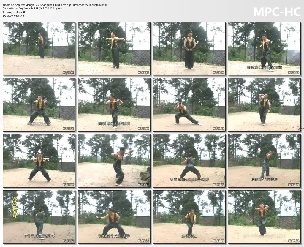 Měnghǔ Xià Shān 猛虎下山 (Fierce tiger descends the mountain).mp4 thumbs