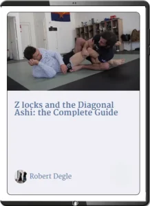 ROBERT DEGLE Z LOOCKS AND THE DIAGONAL ASHI THE COMPLETE GUIDE