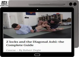 ROBERT DEGLE Z LOOCKS AND THE DIAGONAL ASHI THE COMPLETE GUIDE