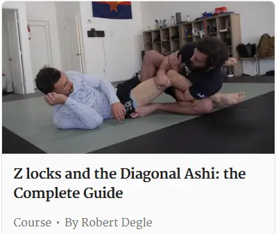 ROBERT DEGLE Z LOOCKS AND THE DIAGONAL ASHI THE COMPLETE GUIDE COVER