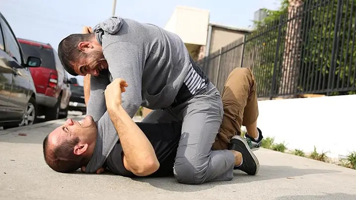 RYRON GRACIE & RENER GRACIE STREET CHOKE MASTERY SEMINAR cover