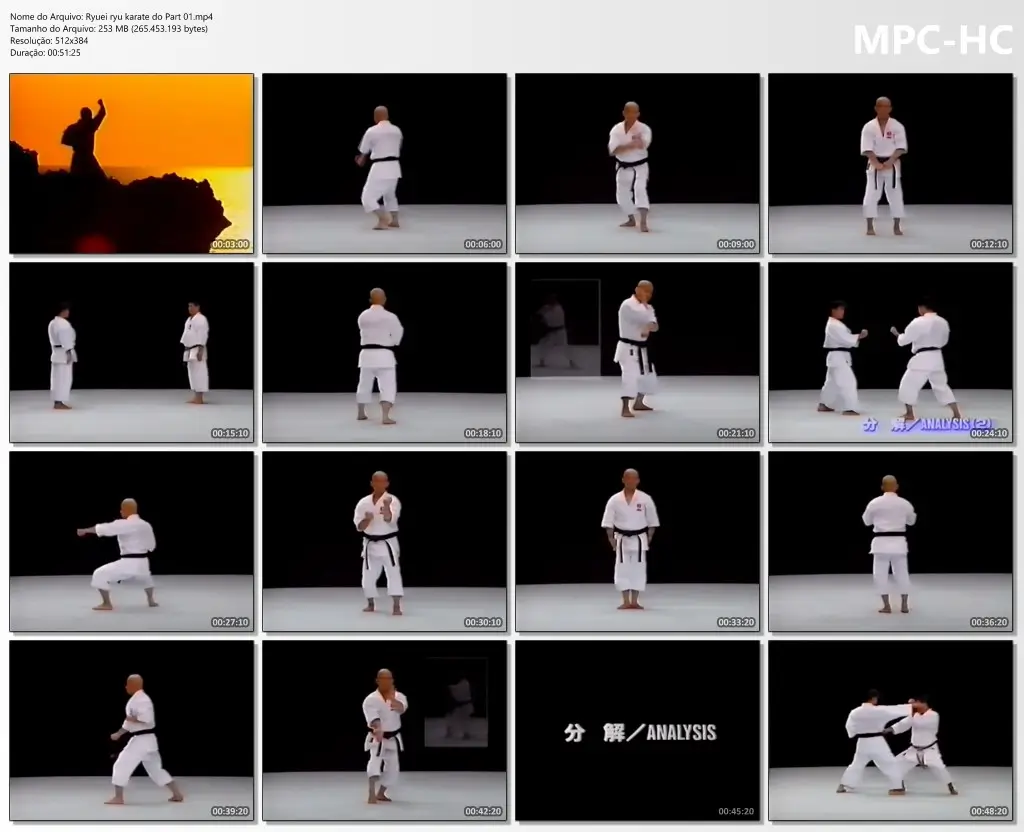 Ryuei ryu karate do Part 01.mp4 thumbs