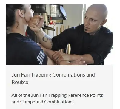 SIFU HARINDER SINGH SABHARWAL JUN FAN TRAPPING ROUTES AND COMBINATIONS COVER