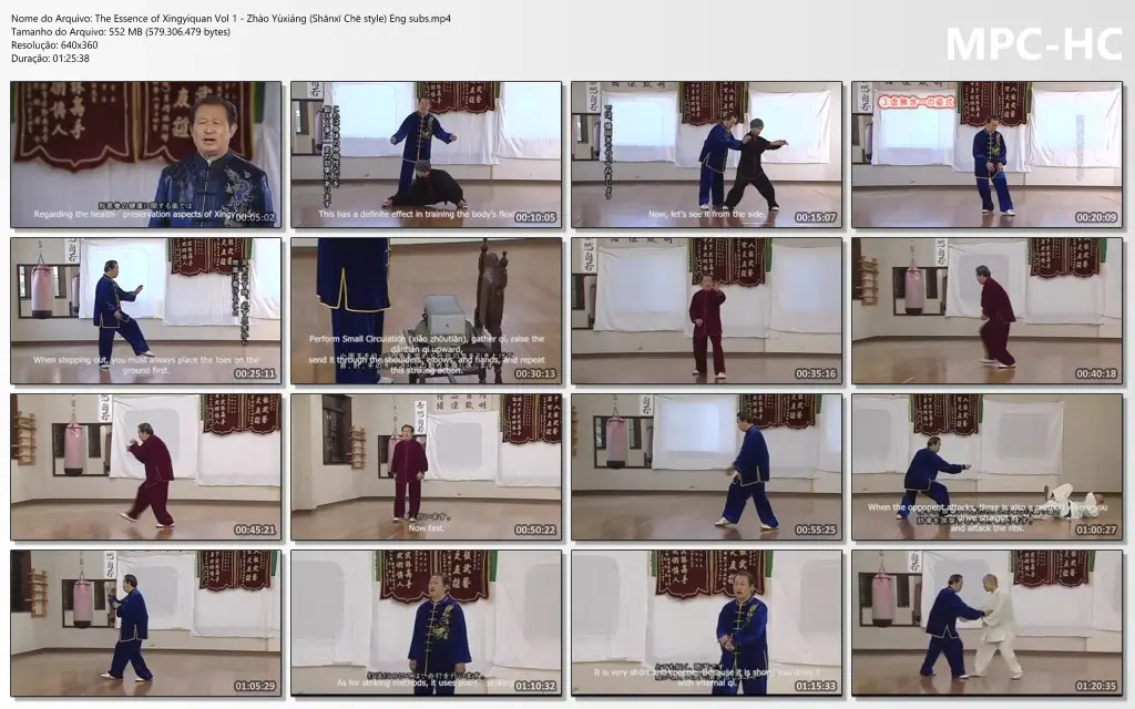 The Essence of Xingyiquan Vol 1 Zhào Yùxiáng (Shānxī Chē style) Eng subs.mp4 thumbs