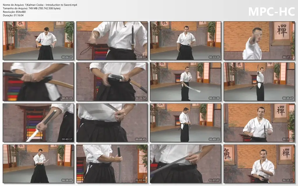 1)Kalman Csoka Introduction to Sword.mp4 thumbs