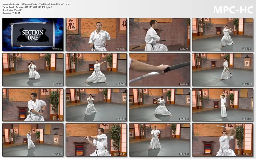 3)Kalman Csoka Traditional Sword Form 1.mp4 thumbs