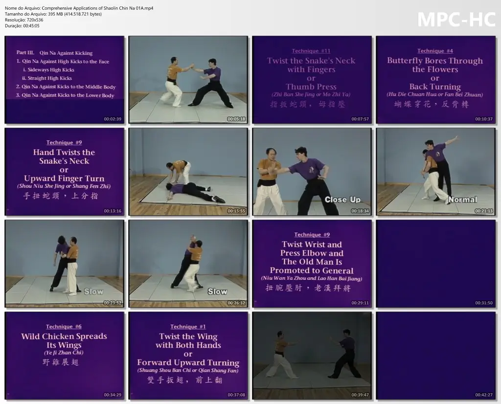 Comprehensive Applications of Shaolin Chin Na 01A.mp4 thumbs