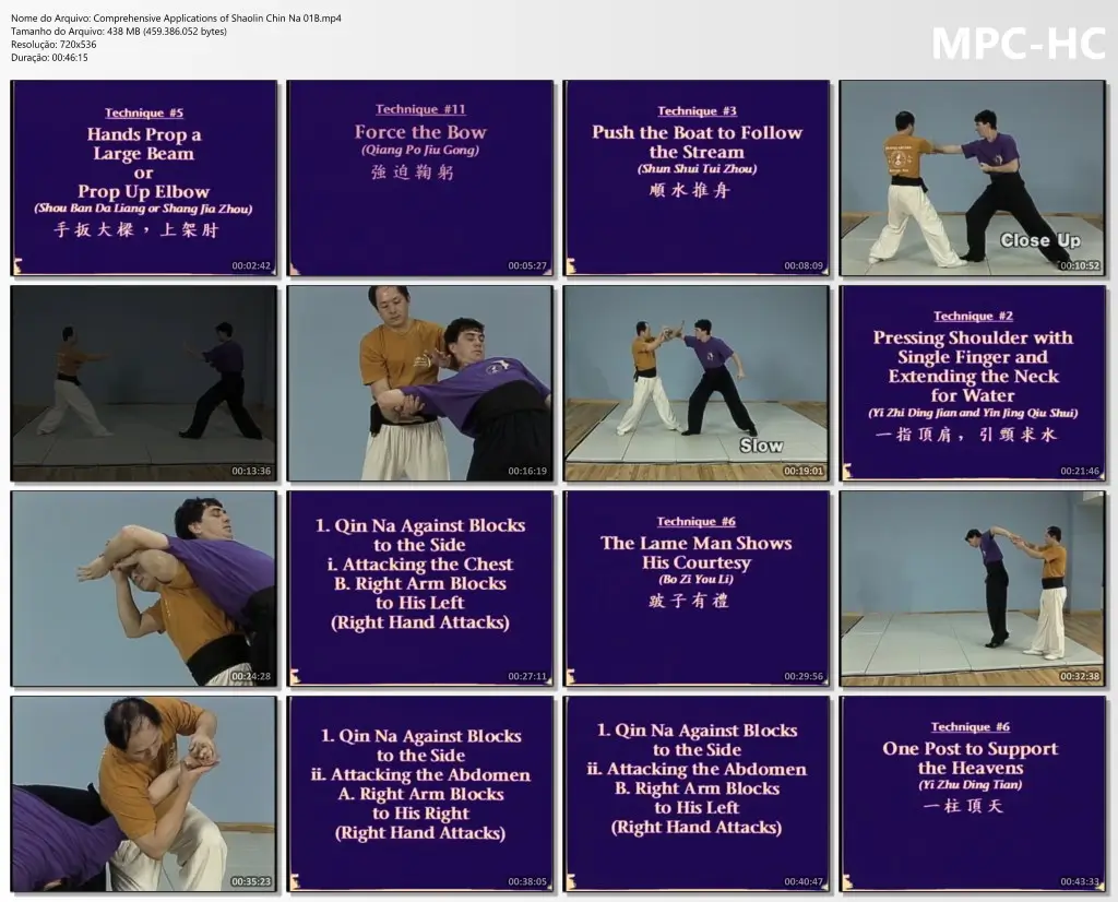 Comprehensive Applications of Shaolin Chin Na 01B.mp4 thumbs
