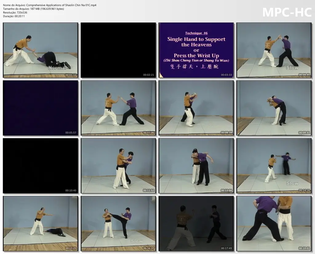 Comprehensive Applications of Shaolin Chin Na 01C.mp4 thumbs