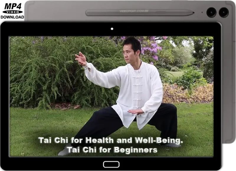 MASTER SONG TAI CHI FRO HEALTH AND WELL BEING