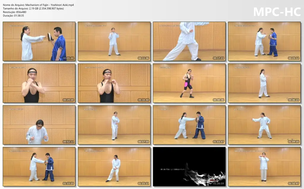 Mechanism of Fajin Yoshinori Aoki.mp4 thumbs