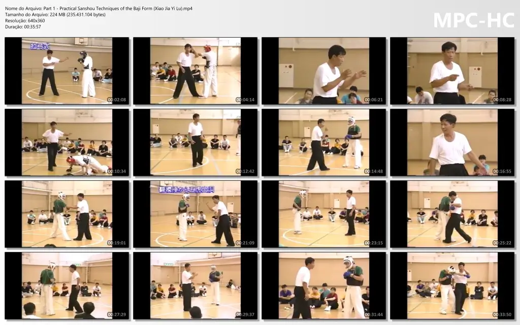 Part 1 Practical Sanshou Techniques of the Baji Form (Xiao Jia Yi Lu).mp4 thumbs