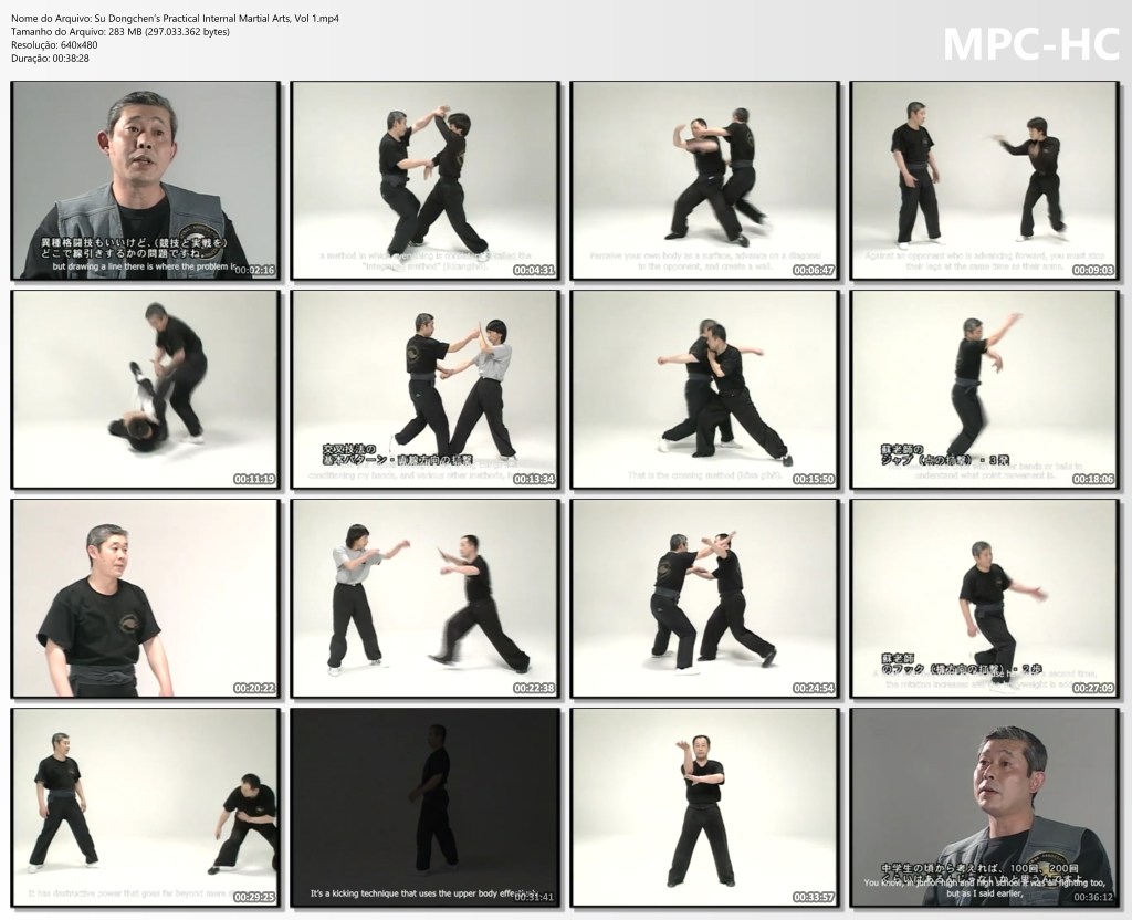 Su Dongchen’s Practical Internal Martial Arts, Vol 1.mp4 thumbs