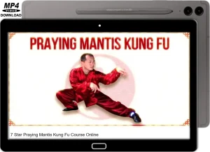 YING SHENG WU EASY KUNG FU FIGHTING APPLICATIONS LEARN MANTIS MARTIAL ART