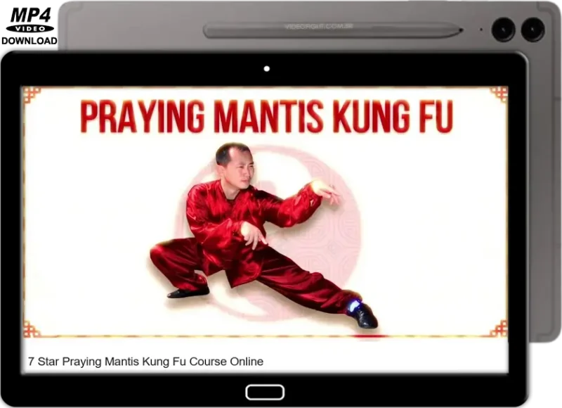 YING SHENG WU EASY KUNG FU FIGHTING APPLICATIONS LEARN MANTIS MARTIAL ART