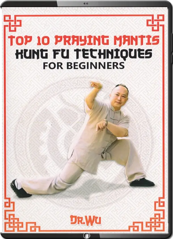 YING SHENG WU TOP 10 PRAYING MANTIS KUNG FU TECHNIQUES FOR BEGINNERS