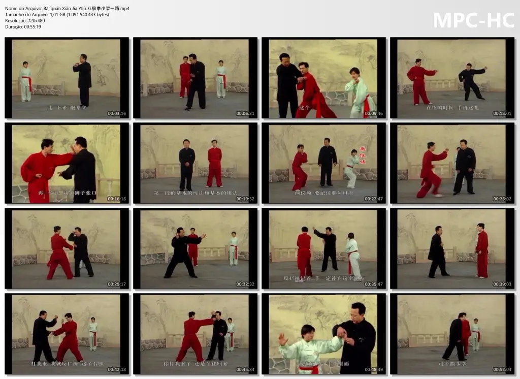 1.Bājíquán Xiǎo Jià Yīlù 八极拳小架一路.mp4 thumbs
