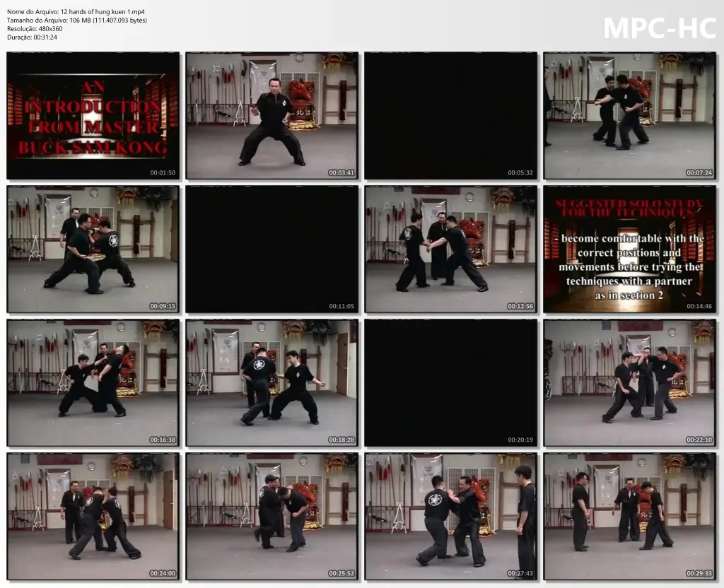12 hands of hung kuen 1.mp4 thumbs
