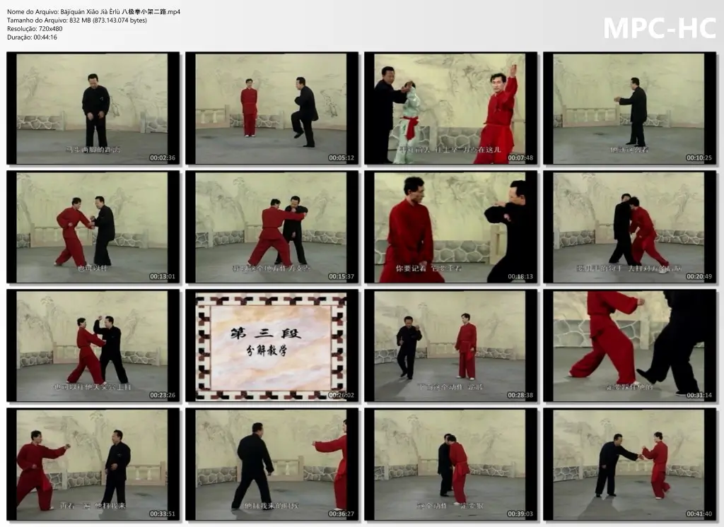 2.Bājíquán Xiǎo Jià Èrlù 八极拳小架二路.mp4 thumbs