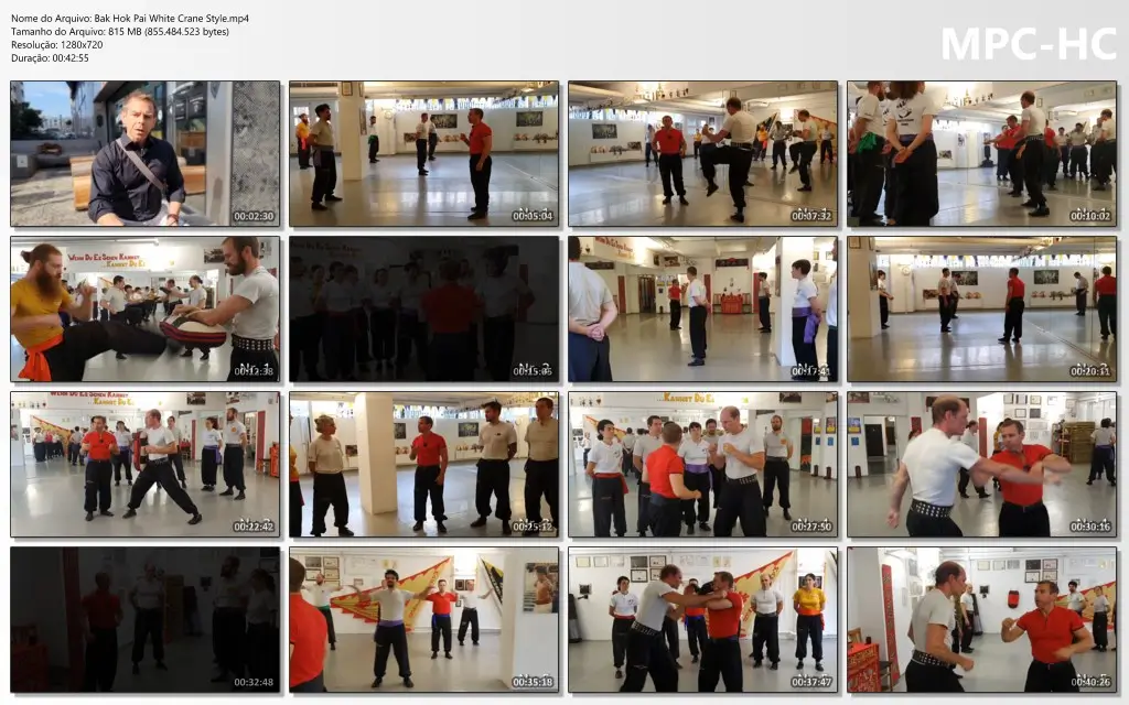 Bak Hok Pai White Crane Style.mp4 thumbs