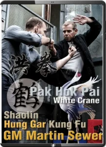 Bak Hok Pai White Crane Style cleanup