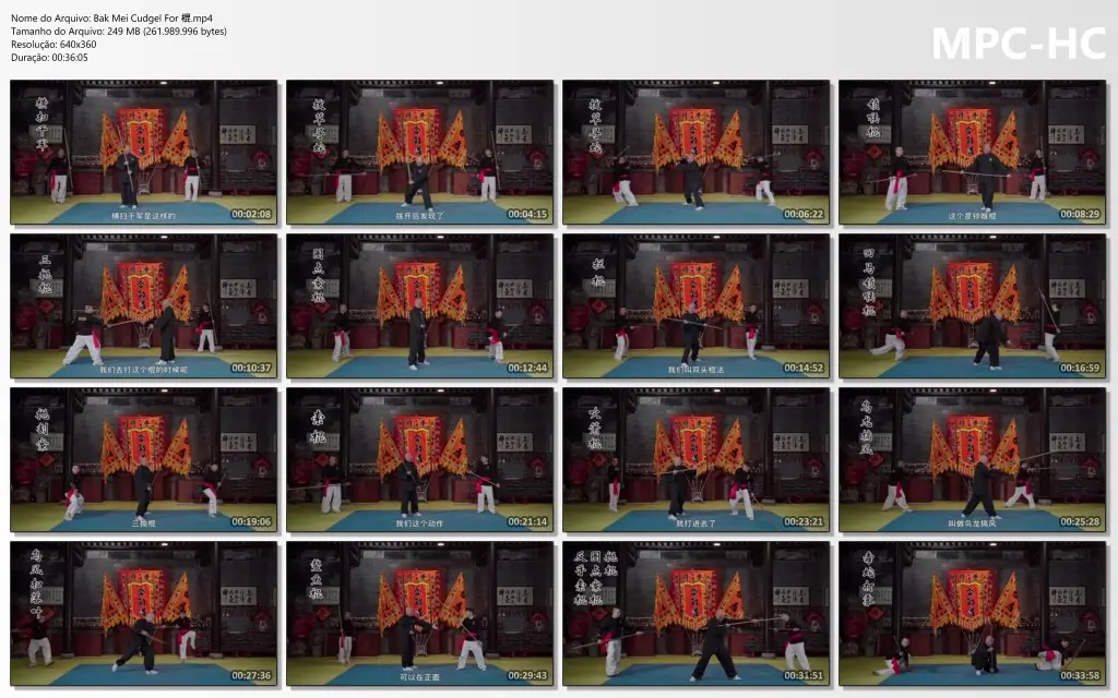 Bak Mei Cudgel For 棍.mp4 thumbs