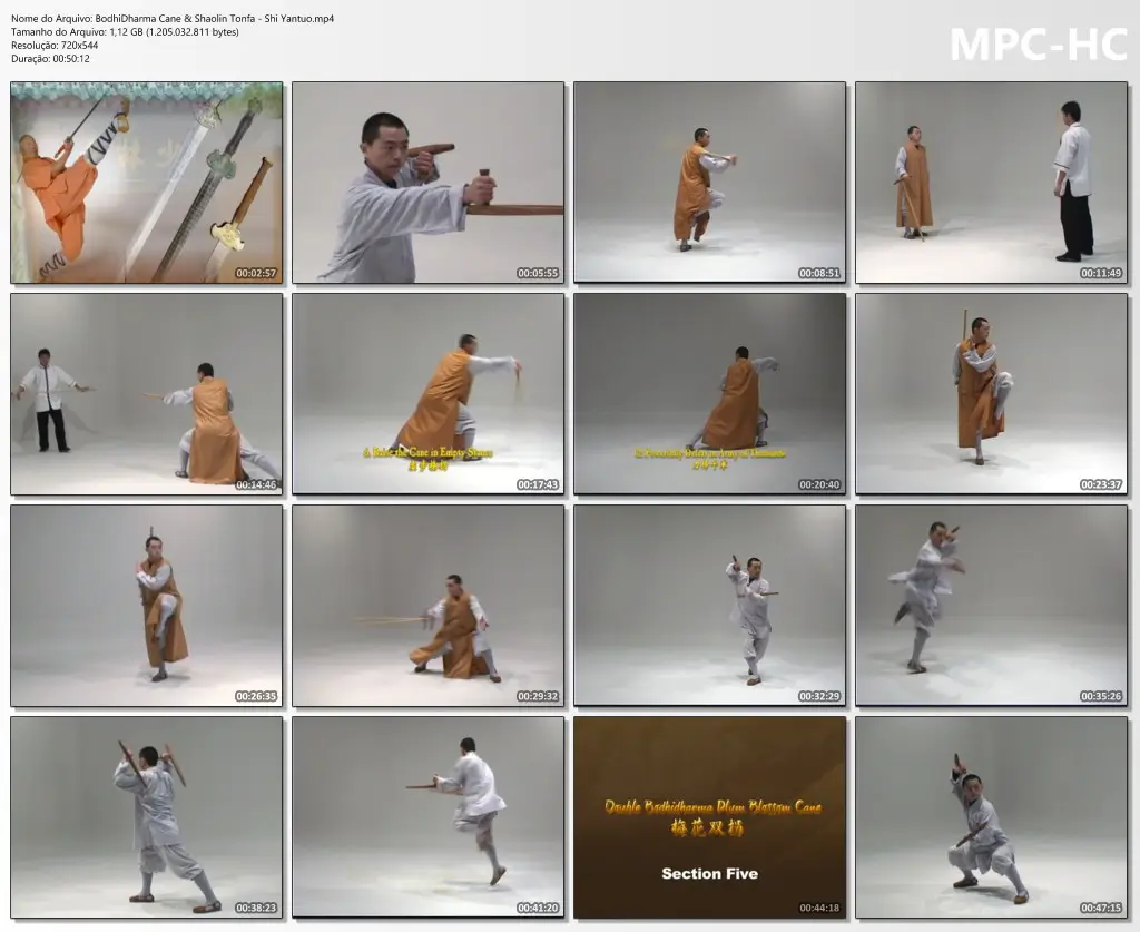 BodhiDharma Cane & Shaolin Tonfa Shi Yantuo.mp4 thumbs