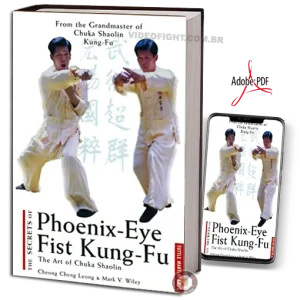 CHENG CHING LEONG THE SECRETS OF PHOENIX EYE FIST KUNG FU PDF