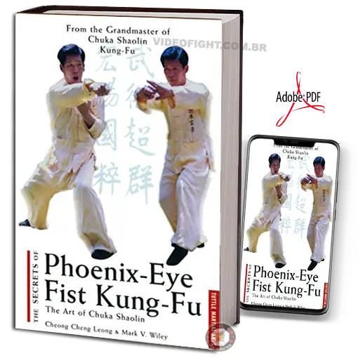 CHENG CHING LEONG THE SECRETS OF PHOENIX EYE FIST KUNG FU PDF