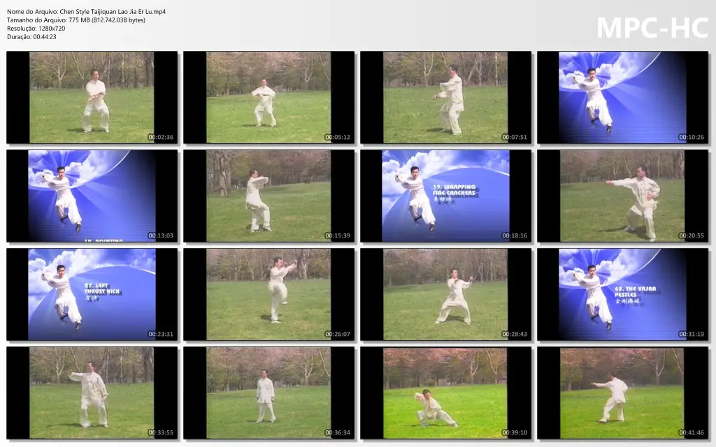 Chen Style Taijiquan Lao Jia Er Lu.mp4 thumbs
