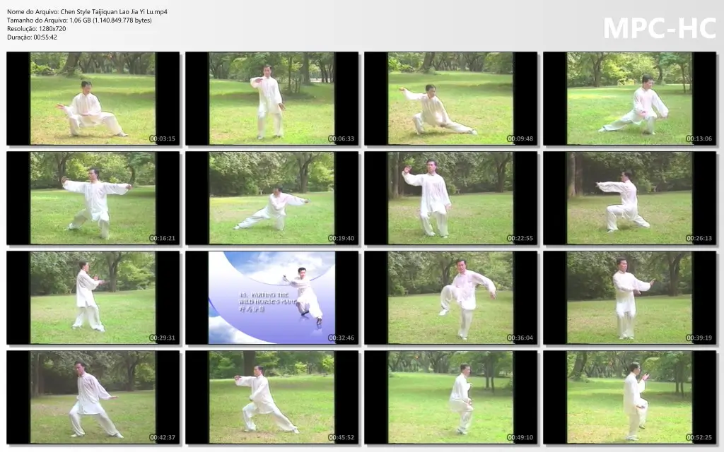 Chen Style Taijiquan Lao Jia Yi Lu.mp4 thumbs